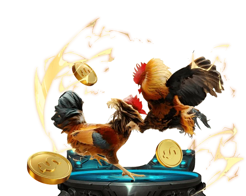 Đá gà trực tuyến hi8 kịch tính